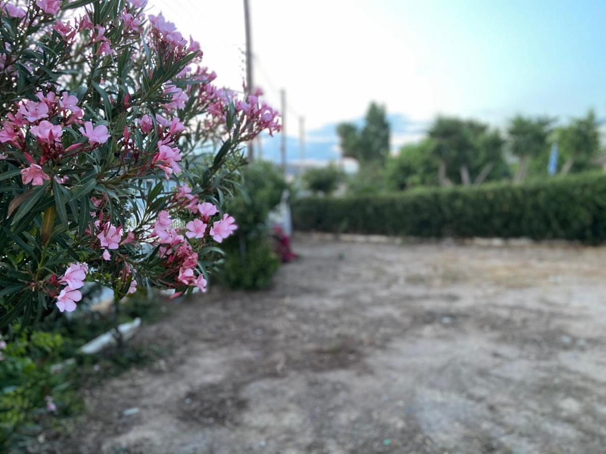 Athens Riviera: 2 Bed / 3' Walk From The Beach Agia Marina  外观 照片